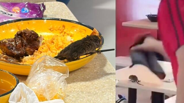 Снимка: Плъх падна от тавана в супата на клиентка в мол (СНИМКИ)