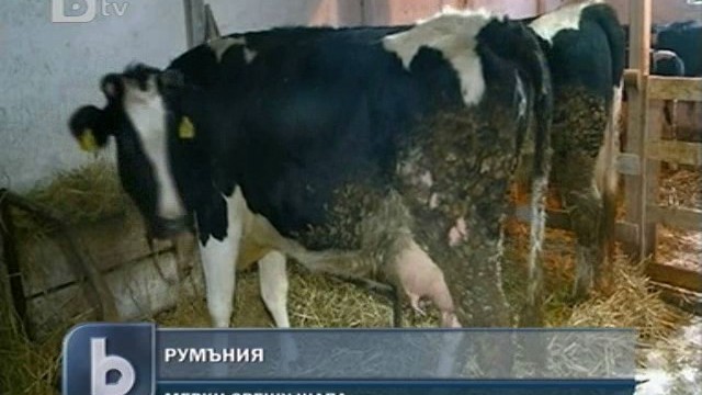 Снимка: Румънските власти се притесниха от шапа у нас