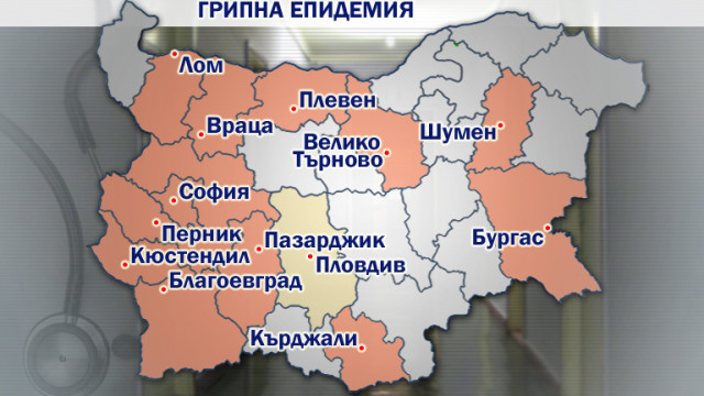 Снимка: Обявиха грипна епидемия във Варна и Пловдив 