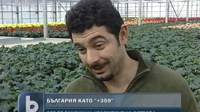 Снимка: Българин краси кралска градина 