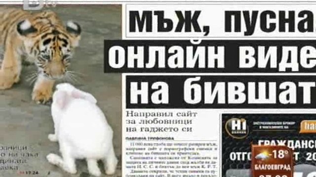Снимка: Преглед на печата