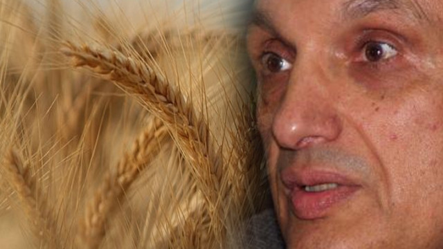 Снимка: Сините искат стратегически зърнен резерв