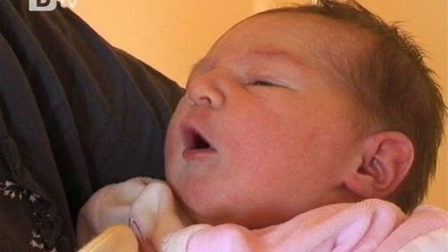 Снимка: Регистърът на ражданията пълен с нули три дни след старта