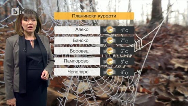 Снимка: Времето в 17 часа - 03.01.2014 г.