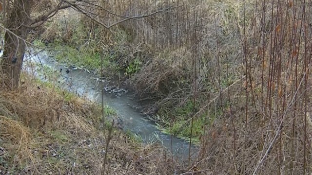 Снимка: Катранено черни води на реката през столичния кв. Суходол