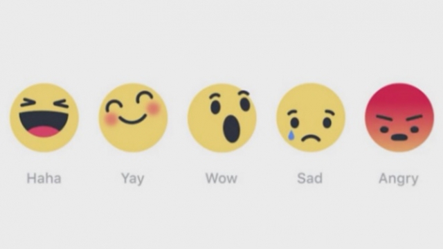 Снимка: Скоро ще се радваме, учудваме и гневим във Facebook