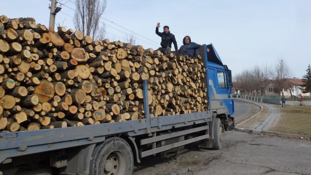 Снимка: Жителите на кърджалийско село дочакаха дървата си за огрев 
