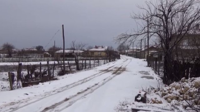 Снимка: В средата на зимата: Десетки семейства в Дуловско останаха без дърва за огрев 