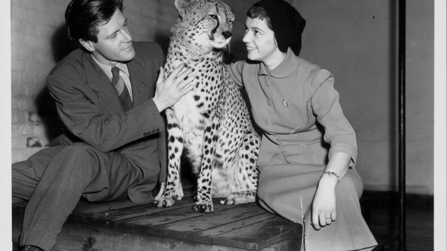 Снимка: Джералд Даръл ~ Къщата не е дом, преди в нея да има куче (СНИМКИ + ВИДЕО)