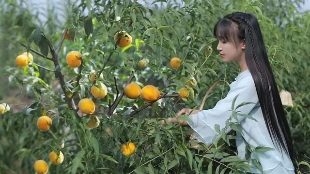 Снимка: Почти 60 млн. души следват китайка в социалните мрежи заради живота ѝ на село