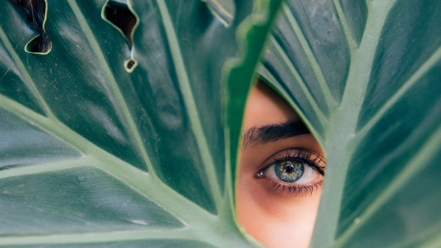 Снимка: Мисъл на деня от Елин Пелин