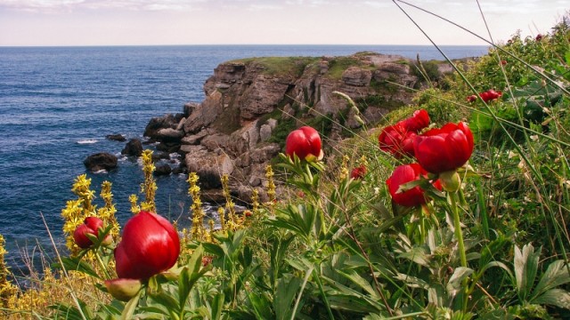 Зелена идея 2012