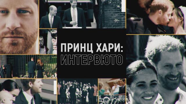 Снимка: Специално студио – 