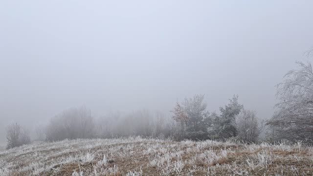 Снимка: Гъста мъгла в Родопите!
