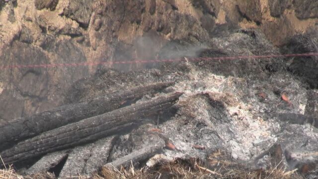 Снимка: Над 20 крави са загинали при пожар в кравеферма в свищовско село