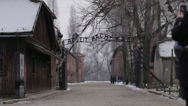 Снимка: На 27 януари отбелязваме Международния възпоменателен ден на Холокоста