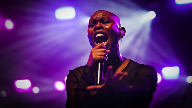 Снимка: The Smashing Pumpkins и Skunk Anansie се присъединяват към Hills of Rock 2025