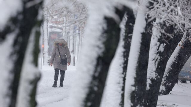 Снимка: Червен код за сняг и леден дъжд е обявен в части на Сърбия