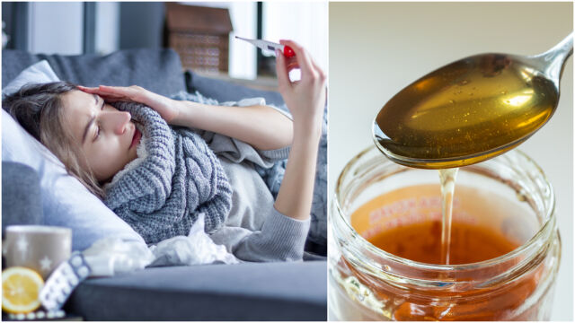 Снимка: Грипът през януари 2026: 10 домашни трика, за да се почувствате по-добре (СНИМКИ)