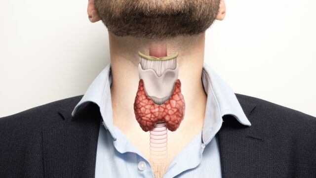 Снимка: 10 симптома на проблеми с щитовидната жлеза при мъжете