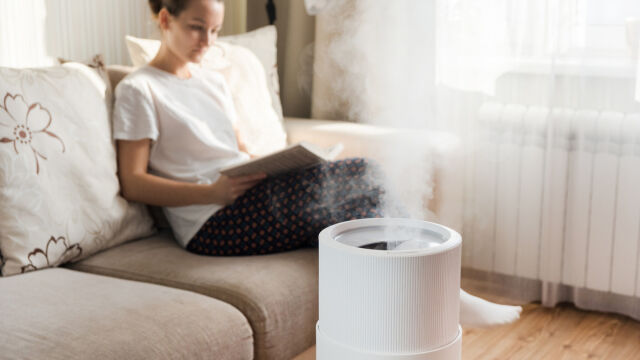 Снимка: Къде да поставим овлажнителя за въздух през зимата – и как помага да намалим сметките за ток