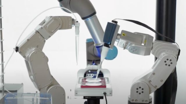 Снимка: 19 бебета се родиха от ембриони, създадени от AI робот