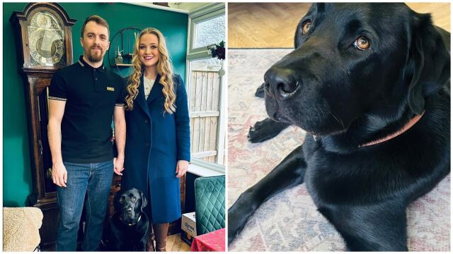 Снимка: Двойка отменя сватбата си, за да плати лечението на кучето си (СНИМКИ)