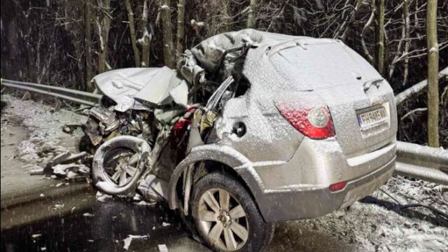 Снимка: Кадри от тежката катастрофа с две жертви край Леденик (СНИМКИ)