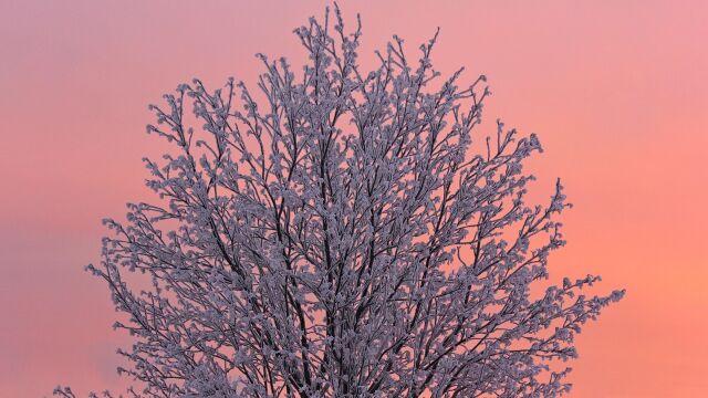 Снимка: Опасно студено време днес, 18 януари, в цялата страна