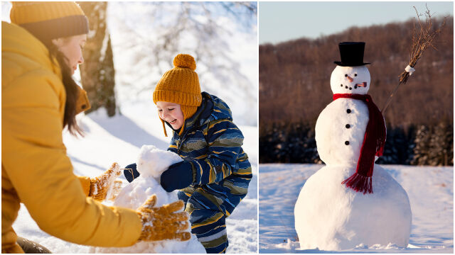 Снимка: 18 януари: Световен ден на снежния човек - защо точно тази дата? (СНИМКИ)
