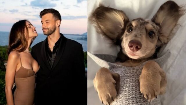 Снимка: Кучето на Гришо и Ейса се сдоби с уникален пуловер (СНИМКА)