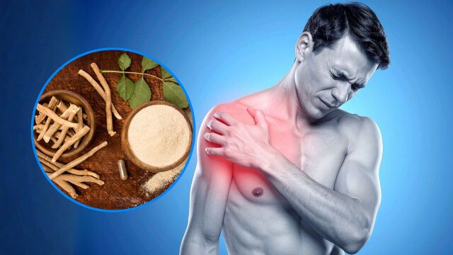 Снимка: Как ашваганда облекчава мускулна треска след тренировка?