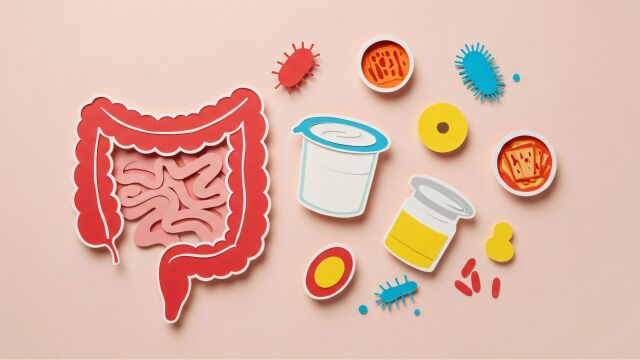 Снимка: Как да поддържаме здравето на червата за силен имунитет?