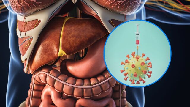 Снимка: Еднократна инжекция подобрява храносмилането за 12 месеца