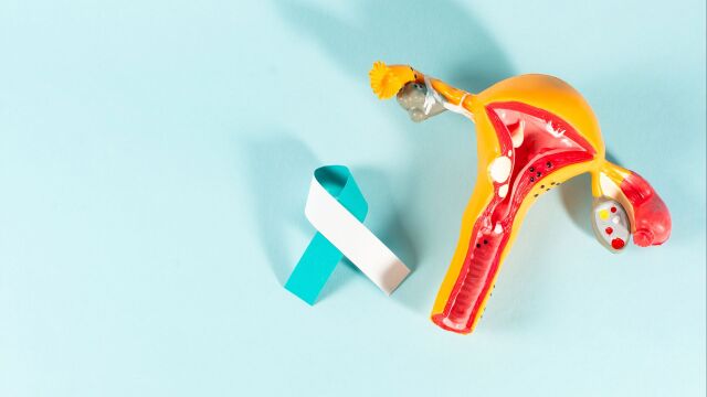 Снимка: Информираността, ваксинацията и скринингът – трите стълба в превенцията на рака на маточната шийка 