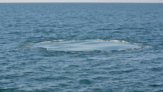 Снимка: Откриха гигантска дупка в океана, пълна с мистериозни вируси 