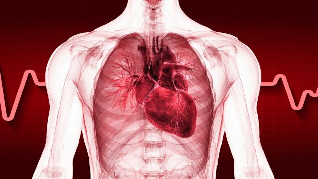 Снимка: 15 причини за сърцебиене и кога да потърсите лекар