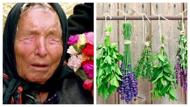 Снимка: Баба Ванга и билките, които е препоръчвала при менопауза 