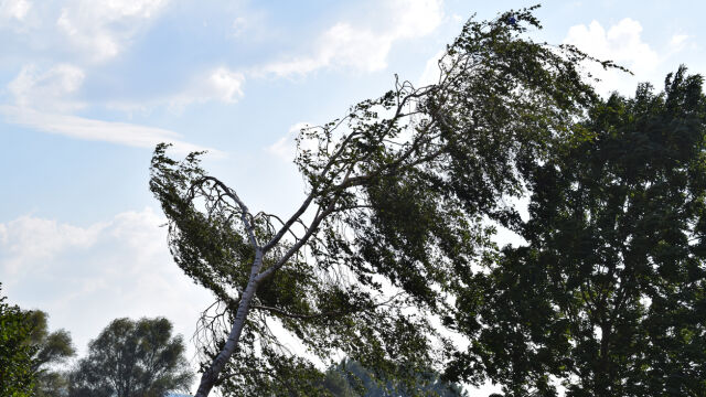 Снимка: Скоростта на вятъра в Сливен е 72 км/ч