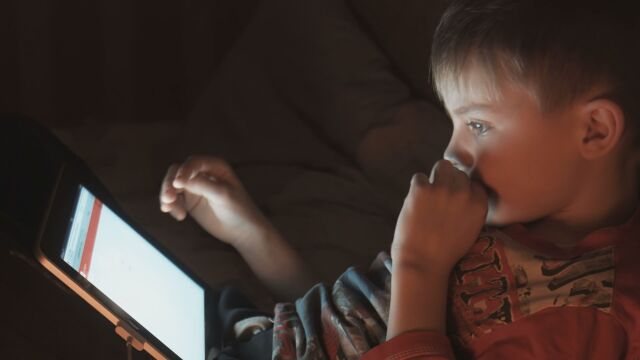 Снимка: Австрия планира забрана на социалните мрежи за деца под 14 години