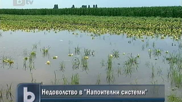 Снимка: Служители на 