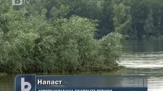 Снимка: Дунавските градове се готвят за нашествие от комари