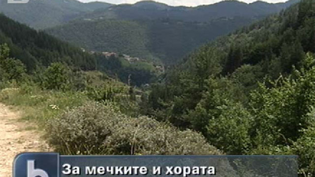 Снимка: Стабилно е състоянието на нападнатата от мечка жена 