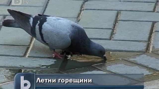 Снимка: В Югозападна България регистрираха най-високите температури за седмицата