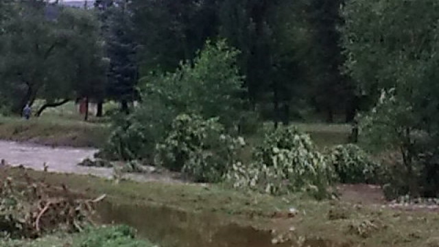 Снимка: Експерти препоръчват водите на Луда Яна да не се ползват за водопой и напояване 