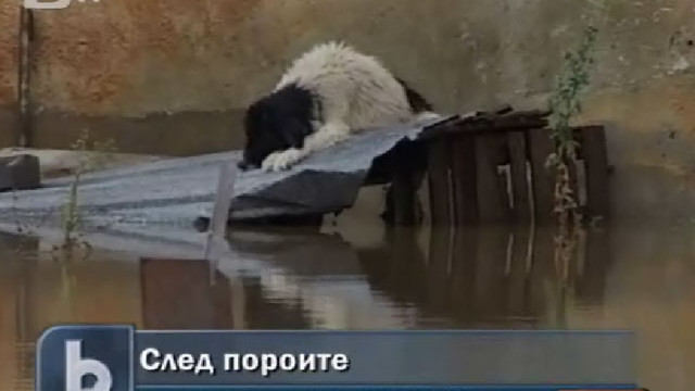 Снимка:  След пороите обстановката се нормализира