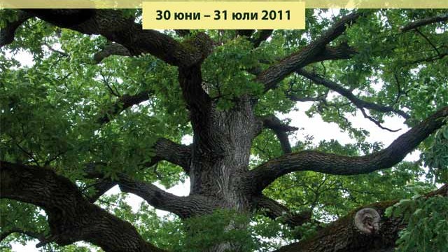 Снимка: Фотопана разказват историите на 15 участника в 