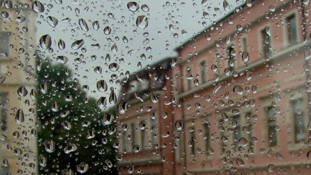 Снимка: Дъжд с гръмотевици над София - възможни са и градушки в Западна България