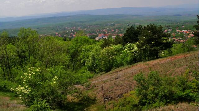 Снимка: Откриха мъртъв мъжа, изчезнал край село Дивотино