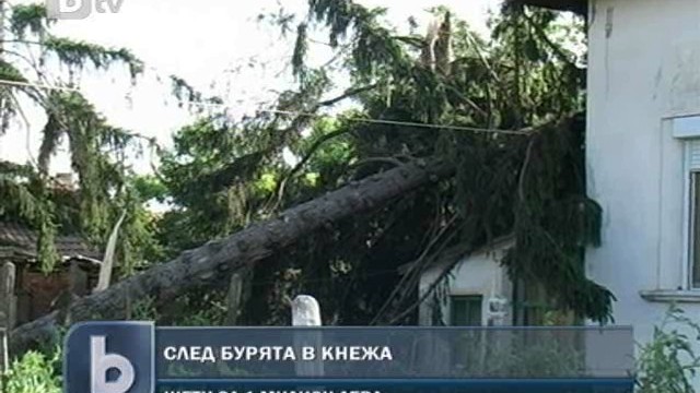 Снимка: Кнежа след бурята: Паднали дървета, разрушени покриви и изпочупени прозорци 